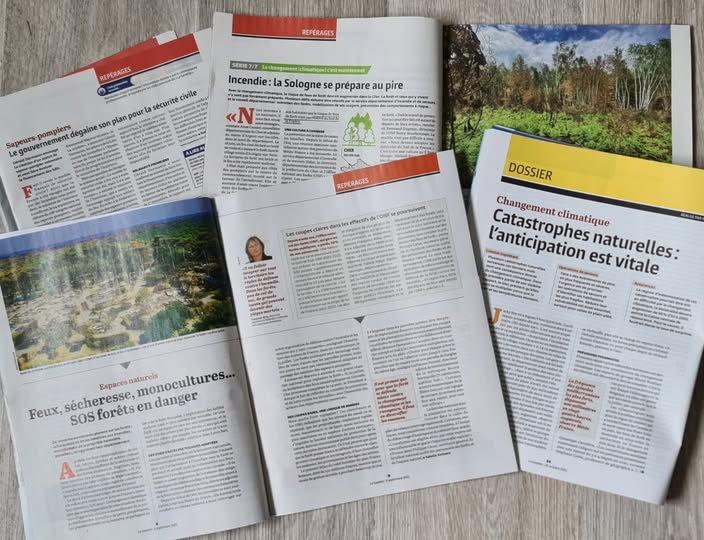 Novembre 2022 : qu’est-ce qui est fait [concrètement] pour protéger notre patrimoine forestier ?