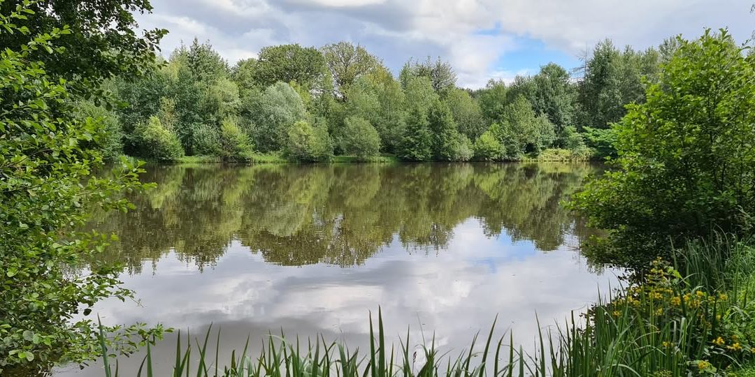 14 septembre 2024 : Découverte de la nature à Villeneuve-le-Comte. Trame verte avec l’association Ovide.