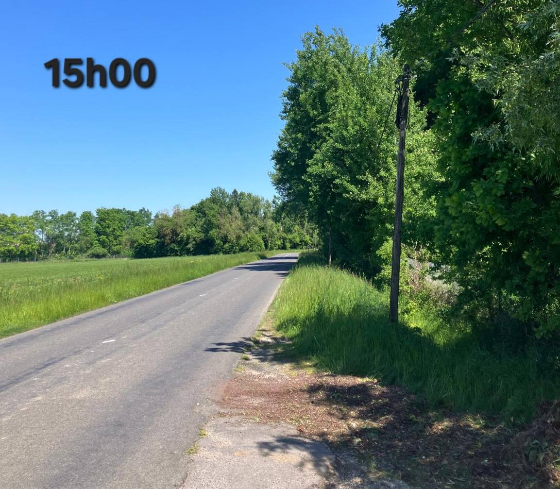 Photos de la D88A avec le dépôt sauvage et sans.