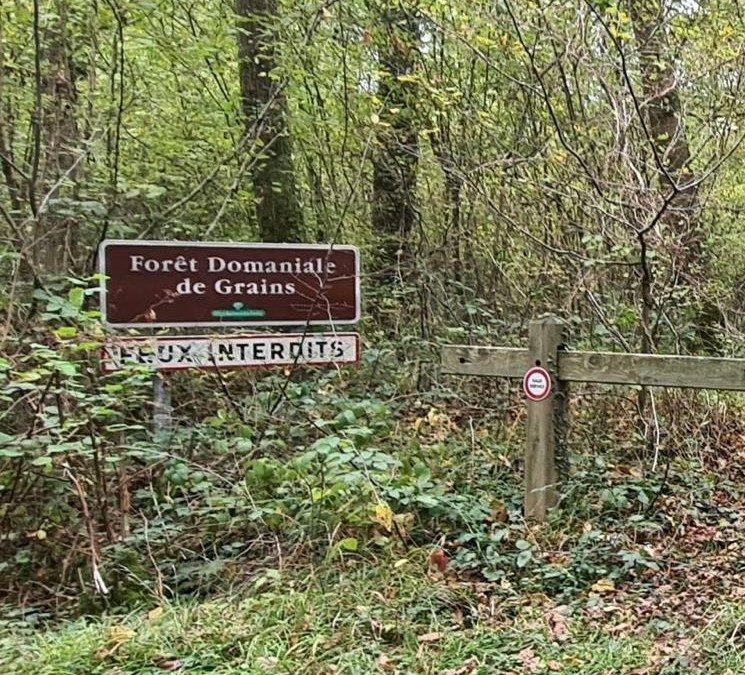 Janvier 2023 : des promenades ouvertes au public dans les 3 forêts de la Commune 👍